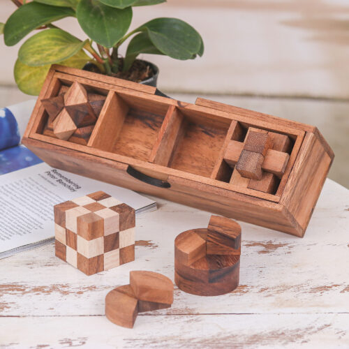 4 Raintree and Rubberwood Brain Teaser Puzzles with Box, 'Fun and Games' 4 Raintree and Rubberwood Brain Teaser Puzzles with Box, 'Fun and Games'