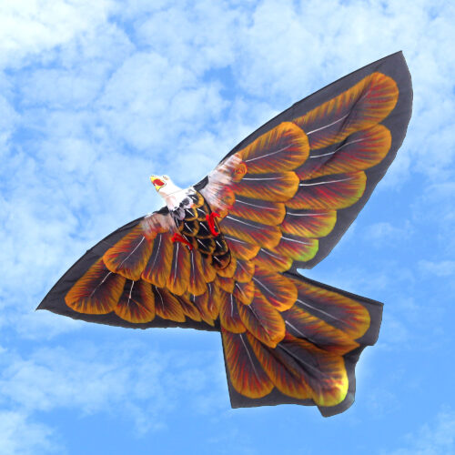 Hand Painted Black Nylon Balinese Golden Eagle Kite, 'Golden Night Eagle' Hand Painted Black Nylon Balinese Golden Eagle Kite, 'Golden Night Eagle'