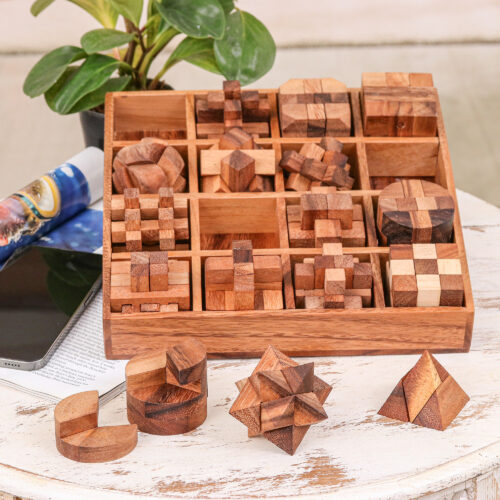 Set of 16 Wood Logic Puzzles with Box Crafted in Thailand, 'Logical Challenges' Set of 16 Wood Logic Puzzles with Box Crafted in Thailand, 'Logical Challenges'