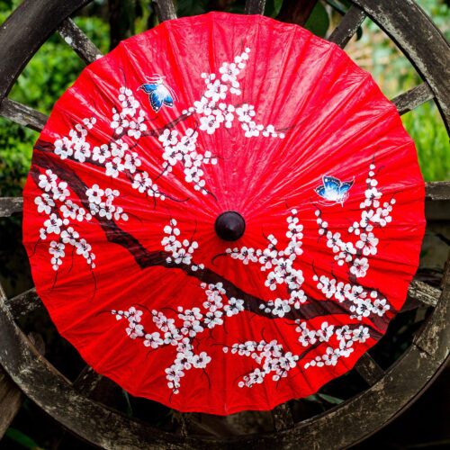 Thai Cherry Blossom Saa Paper and Bamboo Parasol, 'Cherry Blossoms' Thai Cherry Blossom Saa Paper and Bamboo Parasol, 'Cherry Blossoms'