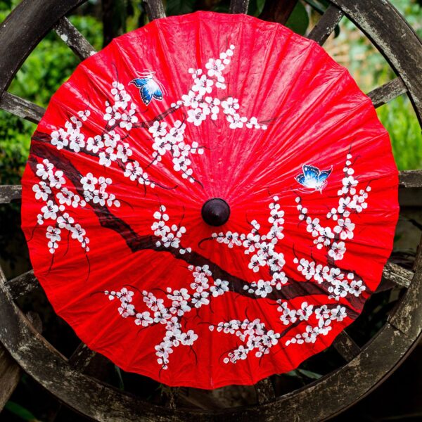 Thai Cherry Blossom Saa Paper and Bamboo Parasol, 'Cherry Blossoms' Thai Cherry Blossom Saa Paper and Bamboo Parasol, 'Cherry Blossoms'