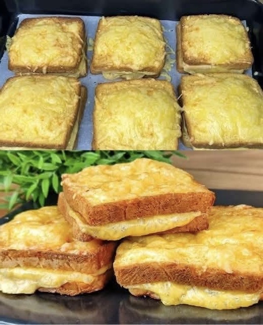 ba36a478-80d2-43c1-8f63-c602a8ec46b3